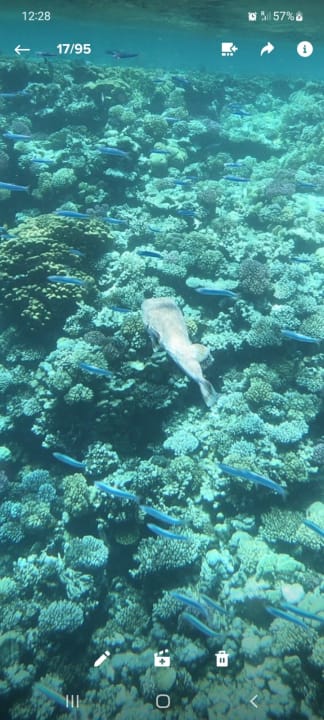 Strand Makadi Spa - Adults only