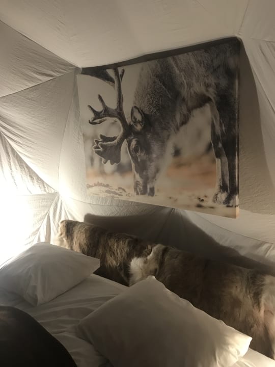 Zimmer Wild Caribou Dome