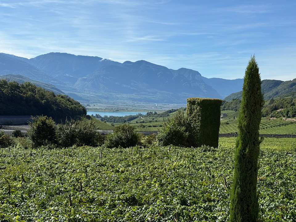 Ausblick Hotel Thalhof am See