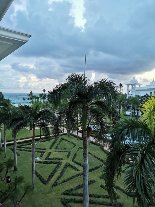 Ausblick Hotel Riu Palace Punta Cana