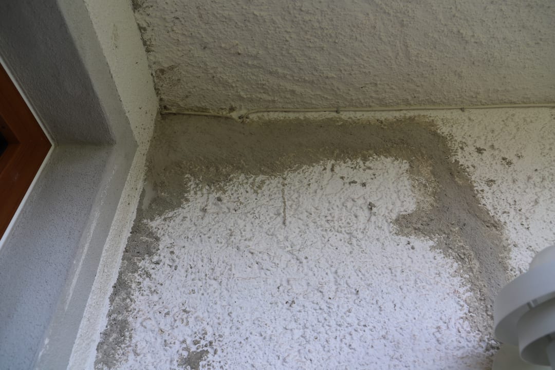 Sonstiges Ferienwohnung Alpenblick