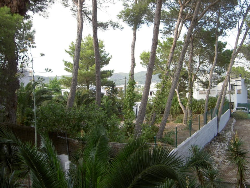 Ausblick Balkon Hotel Osiris