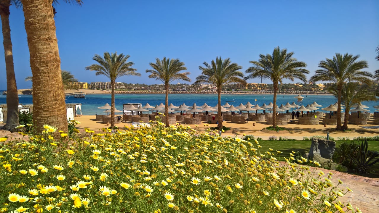 Strand Steigenberger Coraya Beach - Adults only