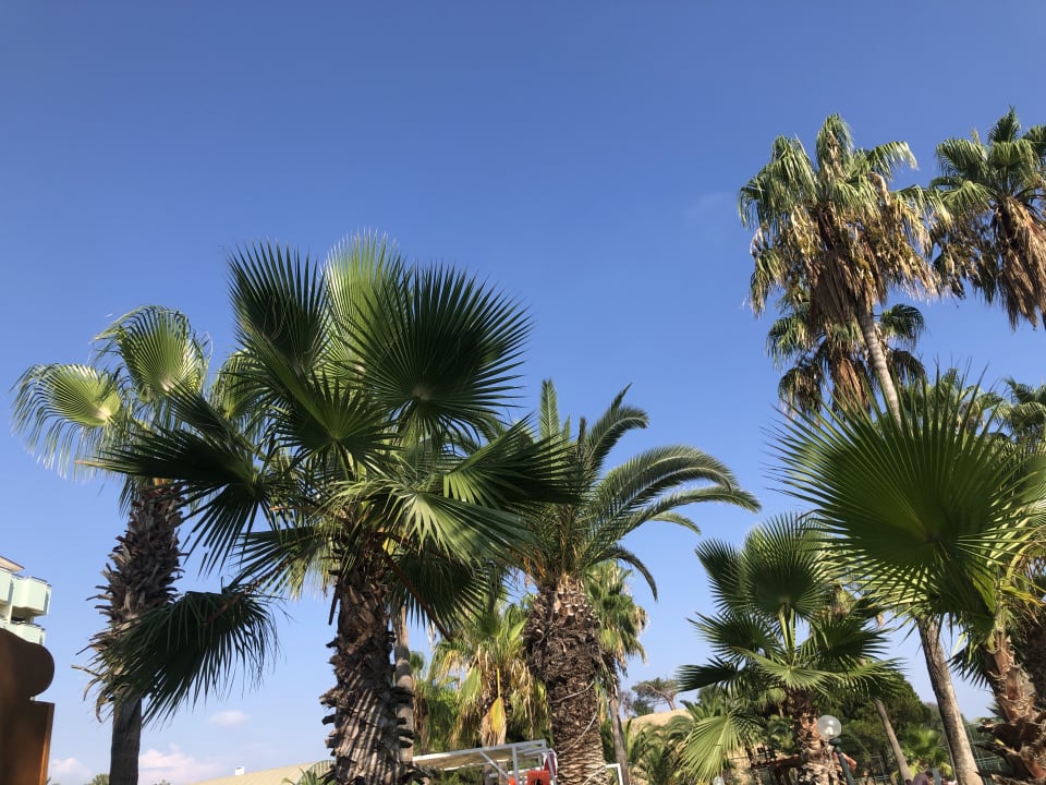 Sonstiges Süral Saray Hotel