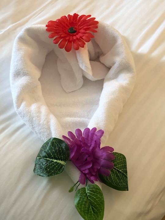 Zimmer Side Star Beach