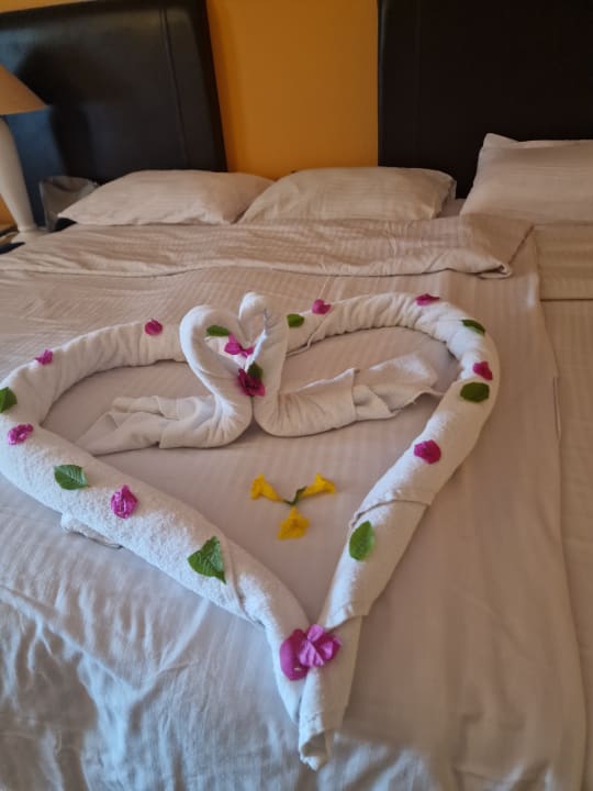 Zimmer Arabia Azur Resort