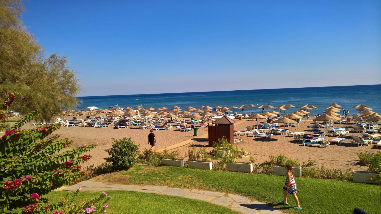 Hoteleigener Strand Hotel Calypso Beach