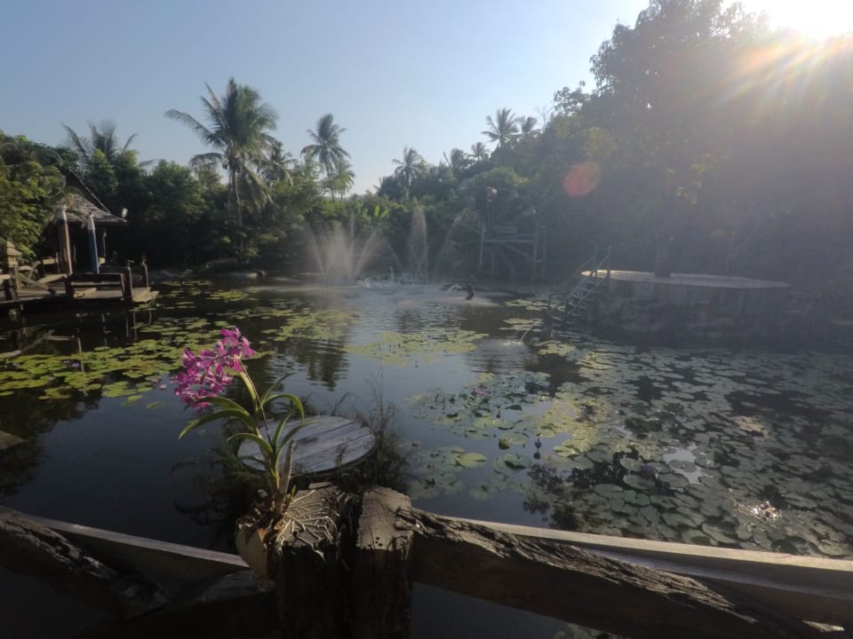 Gartenanlage Santhiya Koh Phangan Resort & Spa