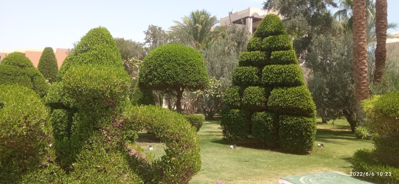 Gartenanlage Jaz Makadi Oasis Resort