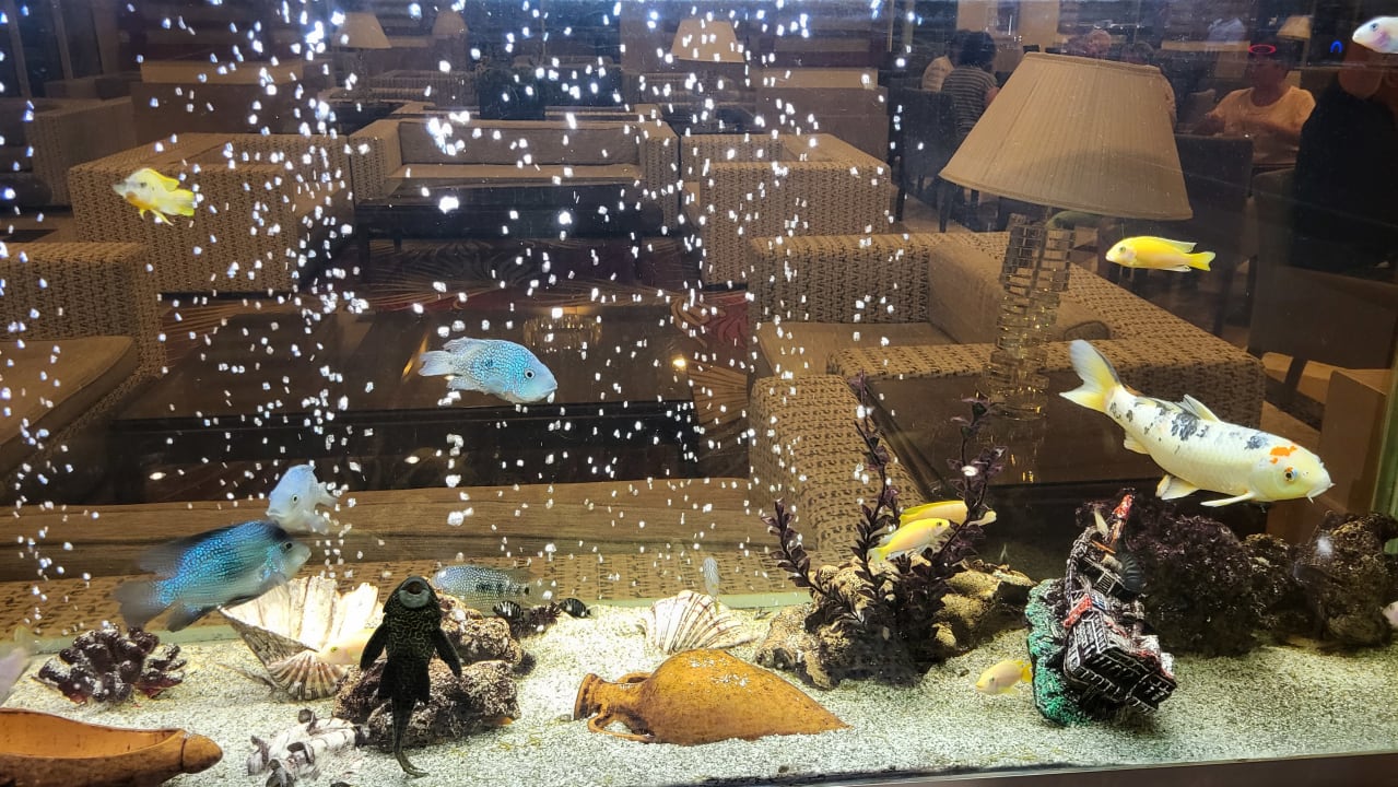 Sonstiges Crystal De Luxe Comfort Collection