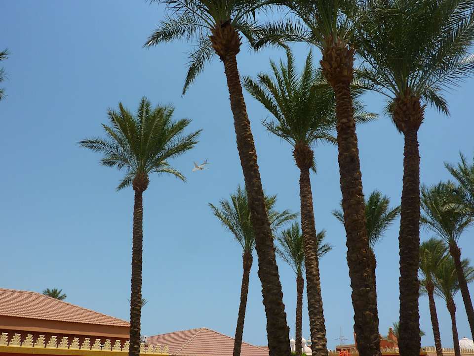 Lotnisko jest blisko Pickalbatros Alf Leila Wa Leila Resort - Neverland Hurghada