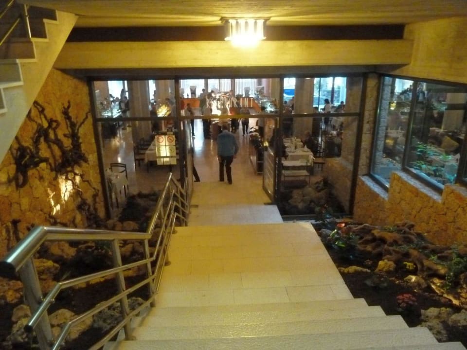 Zugang die Treppe hinunter Bluesun Hotel Soline