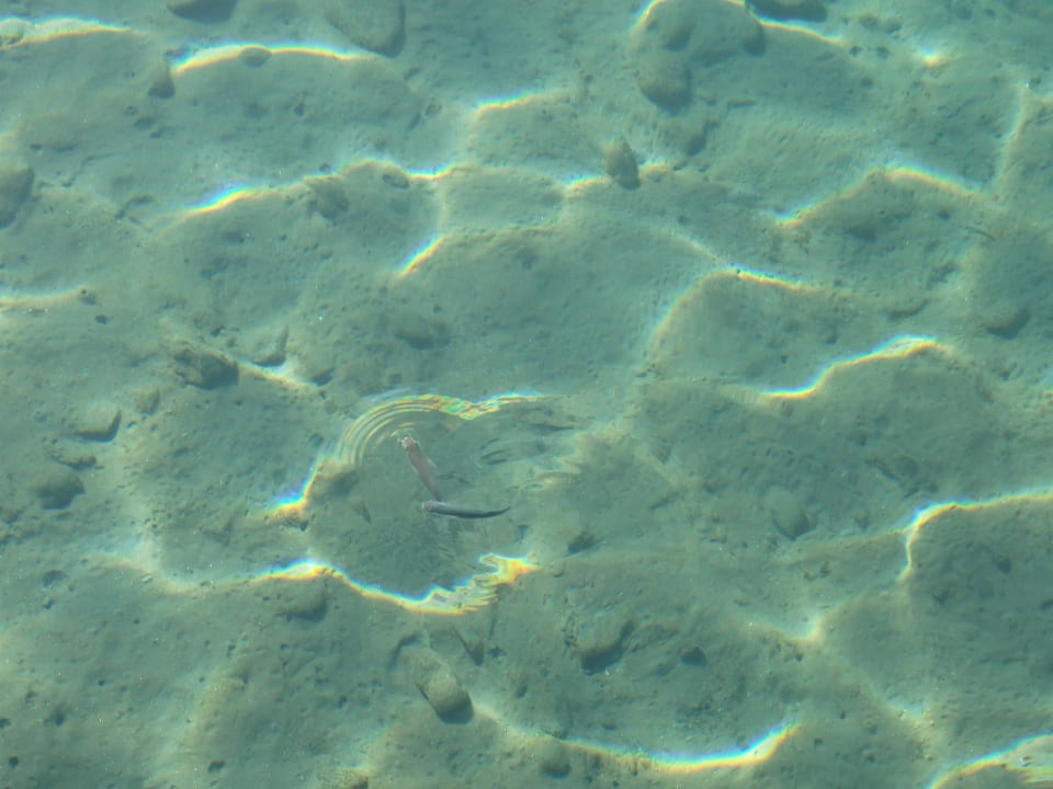 Glasklares Wasser mit Fischen Kefaluka Resort Bodrum