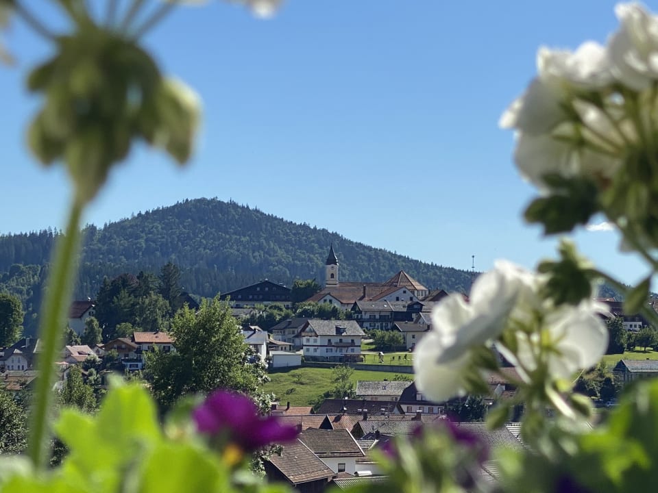 Ausblick Landhaus Meine Auszeit