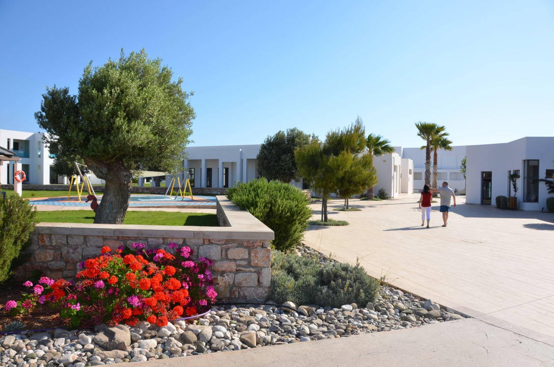 Rundgang Atlantica Plimmiri