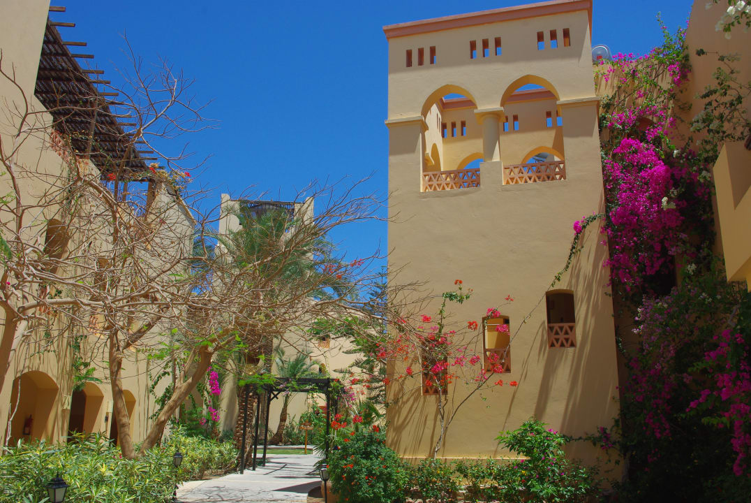 Gartenanlage Steigenberger Coraya Beach - Adults only