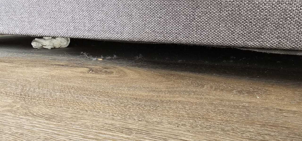 Zimmer Land-gut-Hotel Zur Linde