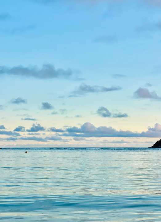 Ausblick Constance Ephelia