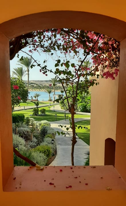 Gartenanlage Steigenberger Coraya Beach - Adults only