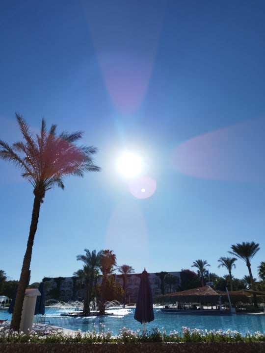 Ausblick Desert Rose