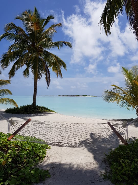 Strand Cinnamon Hakuraa Huraa Maldives