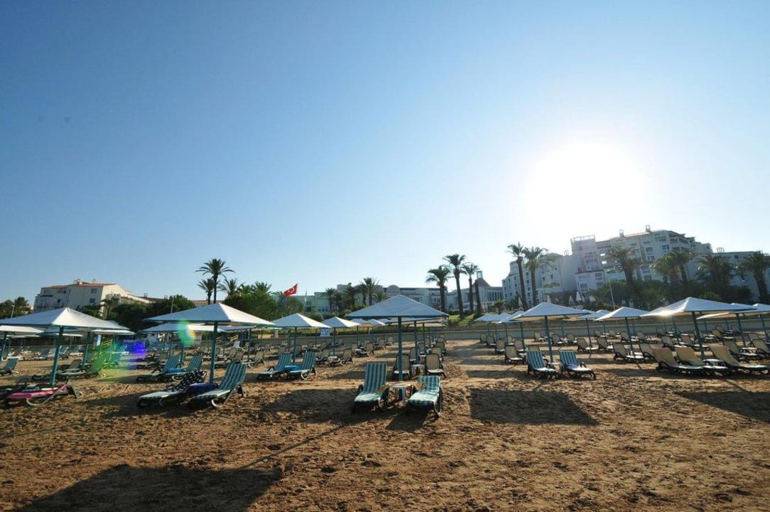 Unsere Liegen PALOMA Perissia