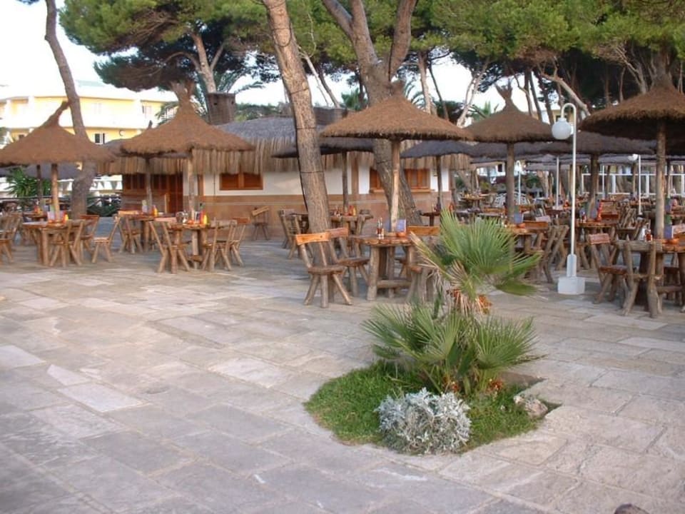 Iberostar Playa de Muro - Abendbar Iberostar Waves Playa de Muro