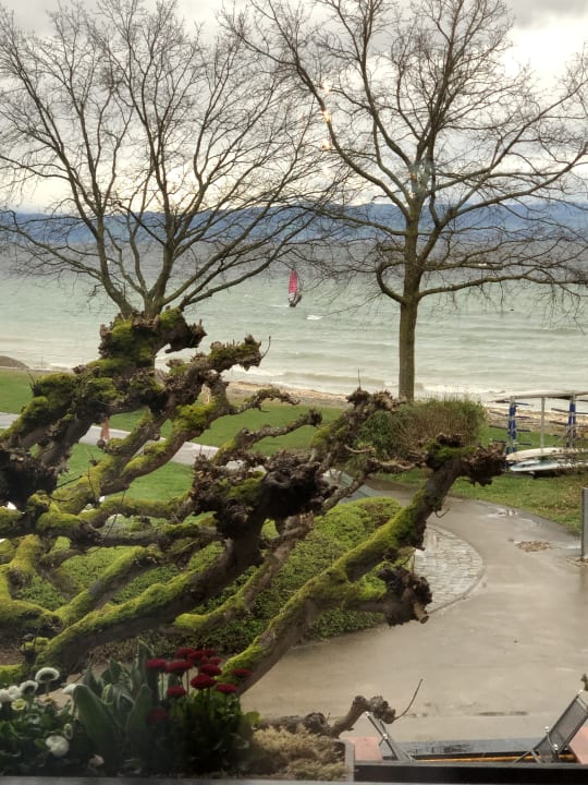Ausblick Hotel Heinzler am See