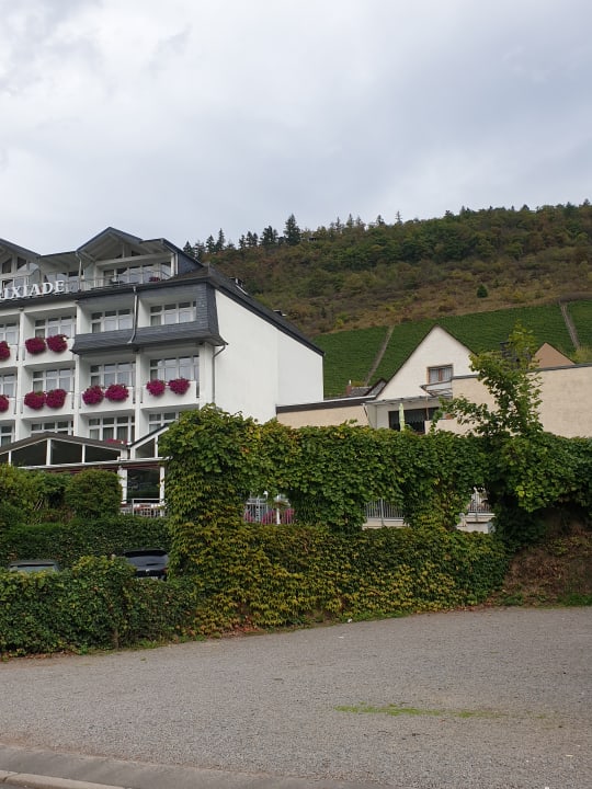 Außenansicht Moselstern Hotel Brixiade & Triton