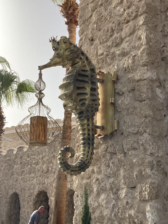 Sonstiges Pickalbatros Citadel Resort