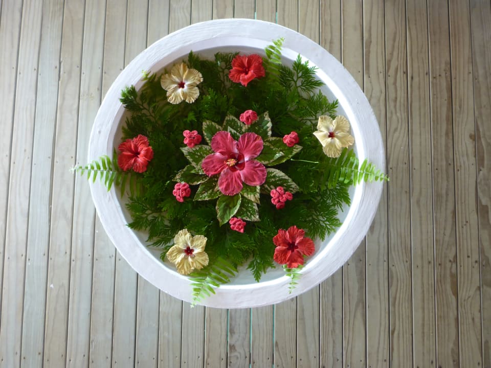 Sonstiges Vilamendhoo Island Resort & Spa