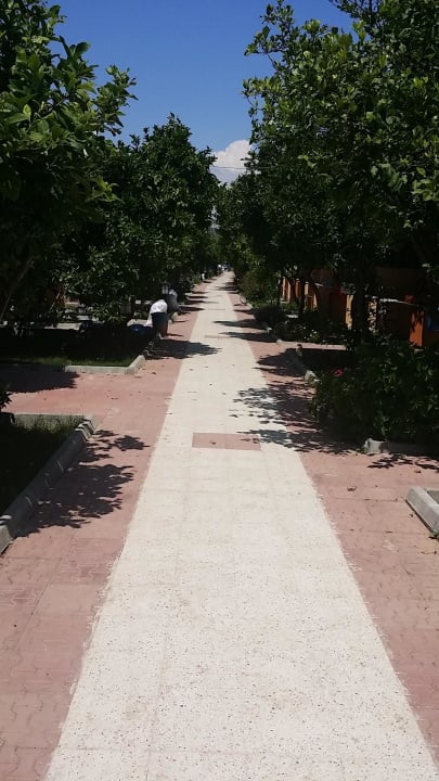 Weg zum Strand Özlem Garden Hotel