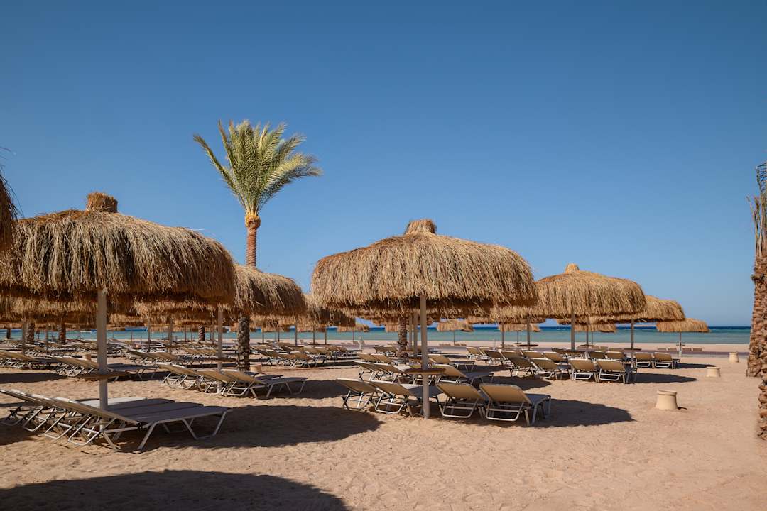 Strand JAZ Elite Asteria