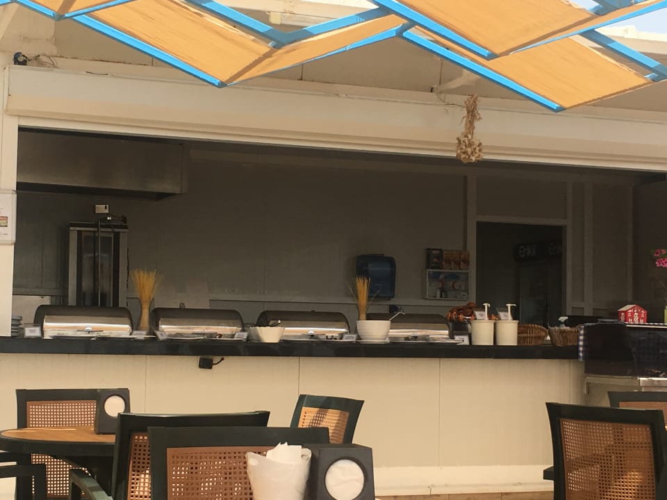 Gastro Asteria Collection Side