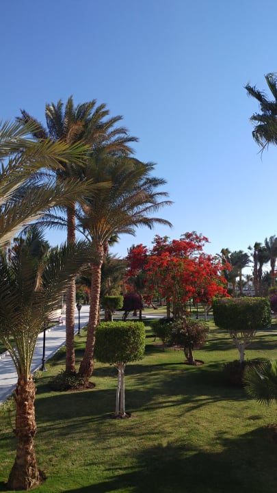 Gartenanlage The Grand Hotel Hurghada
