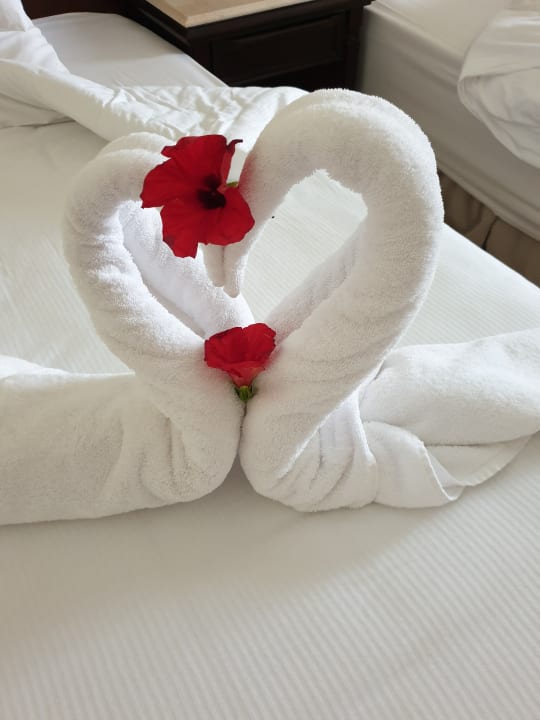 Zimmer Serenity Alpha Beach