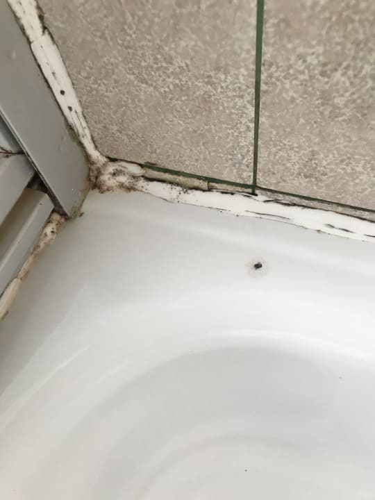 Zimmer Waldhotel Hensel's Felsenkeller