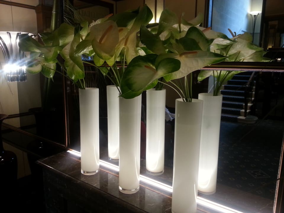 Lobby Best Western Plus Hotel Mirabeau