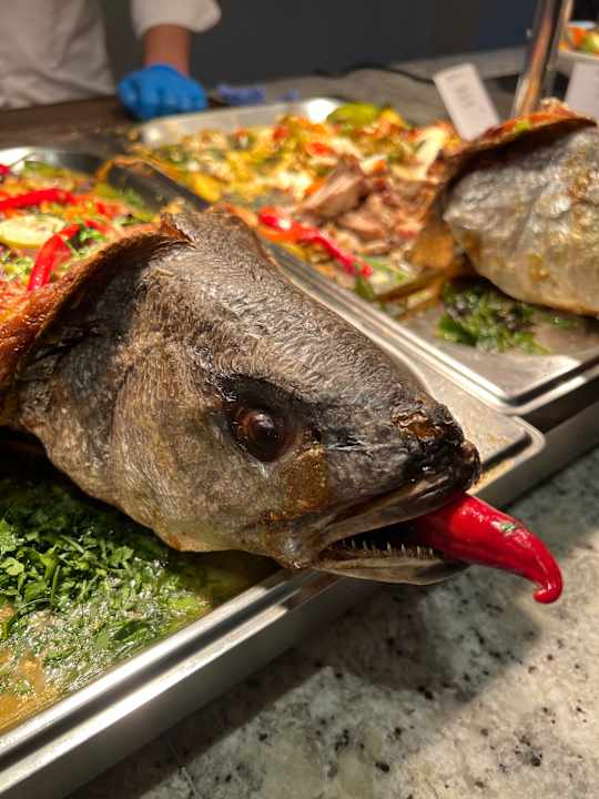 Gastro JAZ Elite Amara