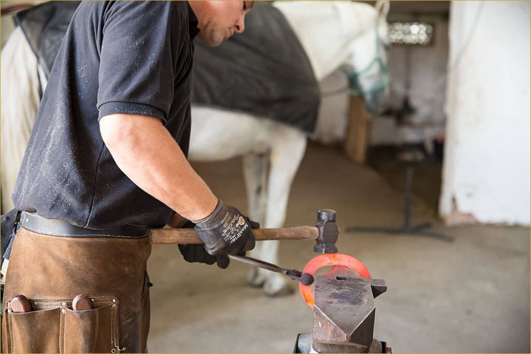 Rundgang per FotoShooting Sommer 2015 Hotel Reiterhof Altmühlsee