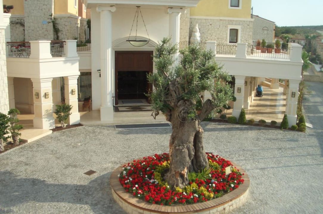 Vorfahrt Hotel Solto Cocos The Club Solto