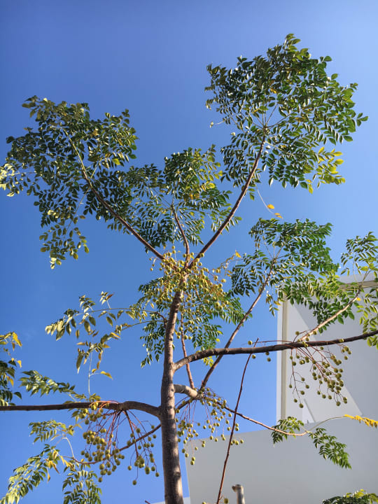 Sonstiges Anemos Luxury Grand Resort