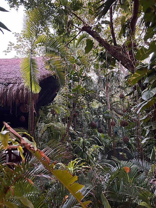 Gartenanlage Viva Azteca by Wyndham - All Inclusive Resort