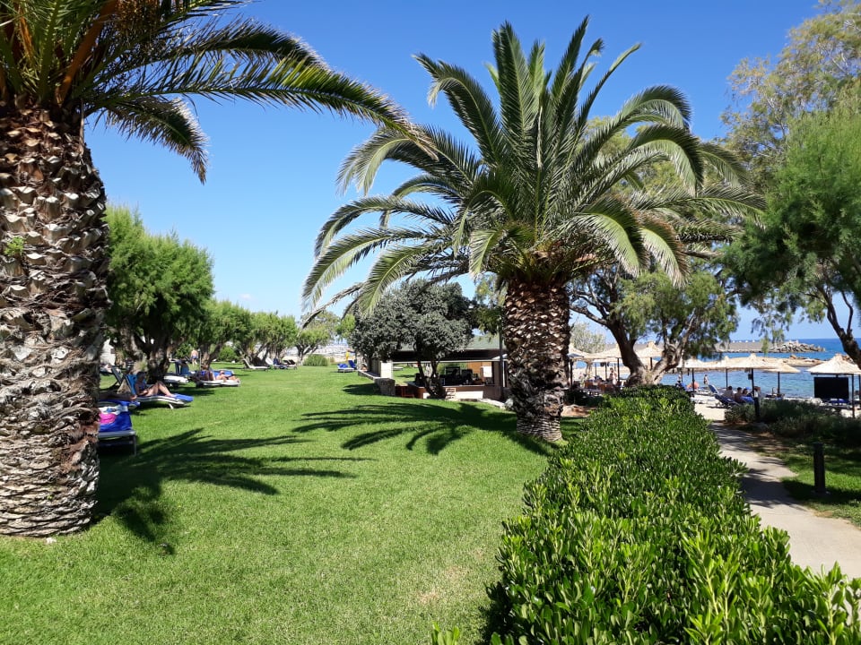Strand Phãea Cretan Malia