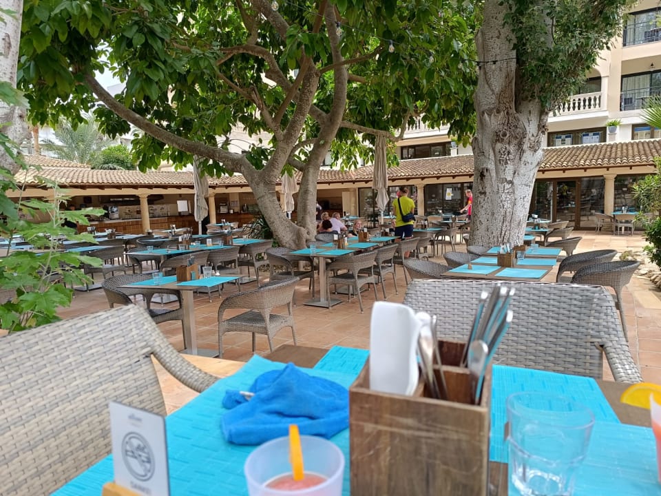 Gastro R2 Lago Playa Park