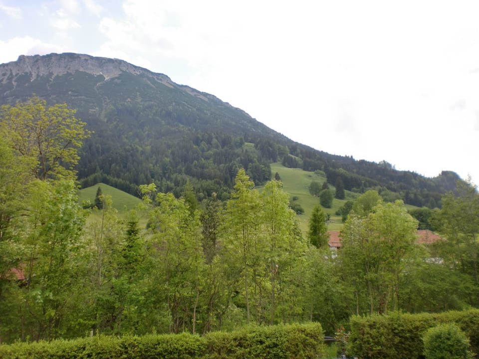 Ausblick vom Appartement 6 Hotel Das Landhaus