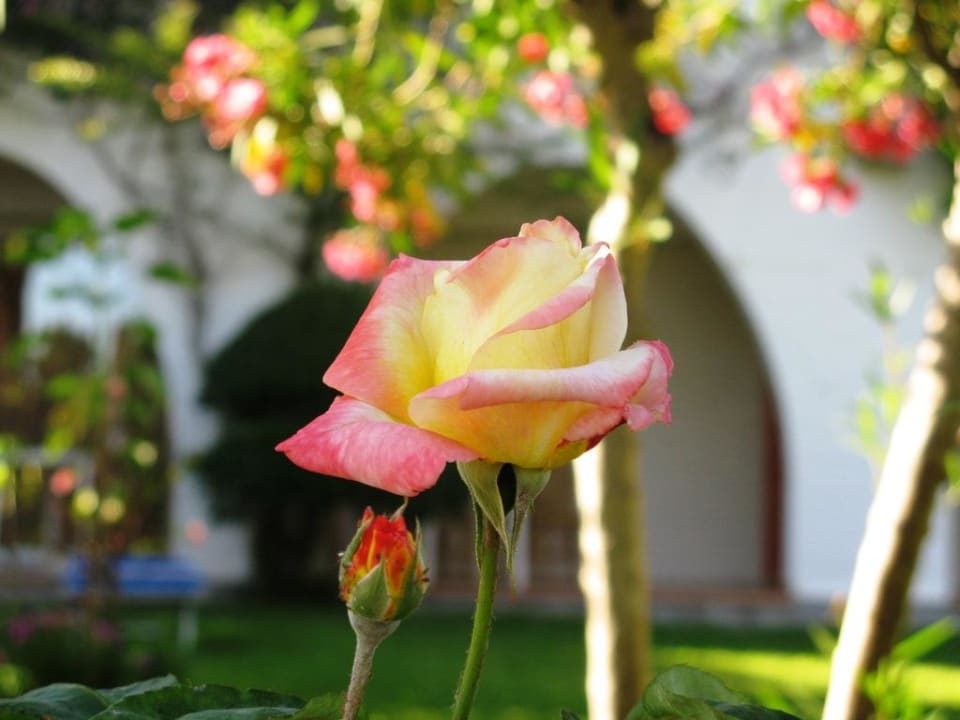 Natur pur Aldiana Club Rocca Nettuno Calabria