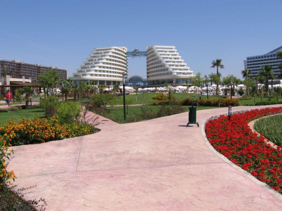 Hotel Hotel Miracle Resort