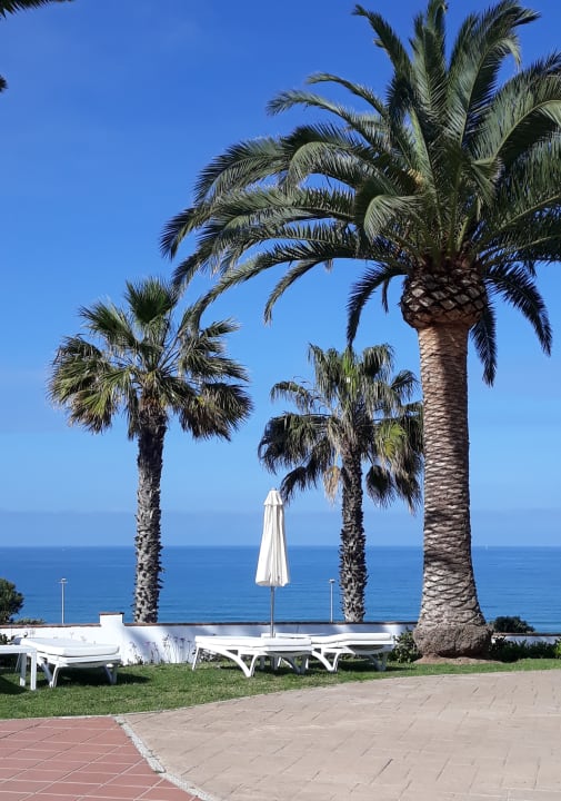 Gartenanlage Fuerte Conil-Resort