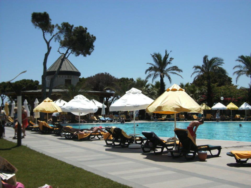 Der Pool Papillon Ayscha